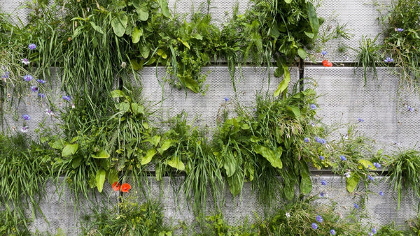Enhancing Biodiversity