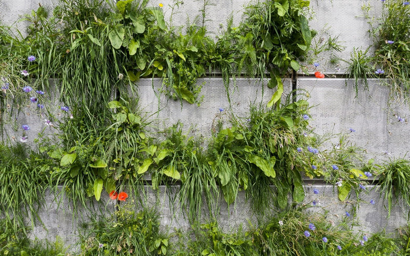 Enhancing Biodiversity